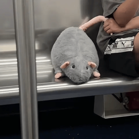 ChonkRat – Super Soft Plushie