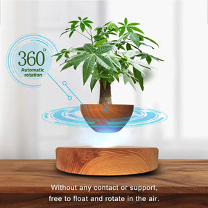 AeroGarden - Levitating Air Bonsai Flower Pot