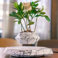 Marble