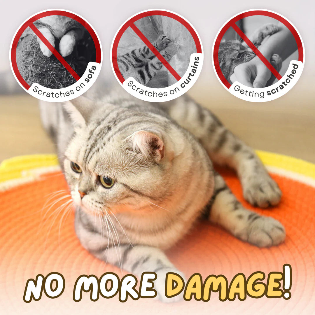 ClawHaven - Durable Double Scratching Pad