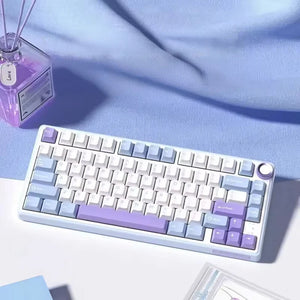 AeroStrike – Wireless Mechanical Gaming Keyboard