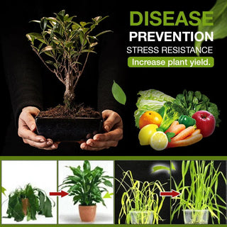 GreenBoost – Fast-Acting Natural Soil Activator