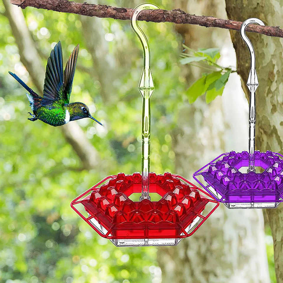 BirdBliss - Hanging Hummingbird Feeder