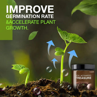 GreenBoost – Fast-Acting Natural Soil Activator