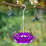 BirdBliss - Hanging Hummingbird Feeder