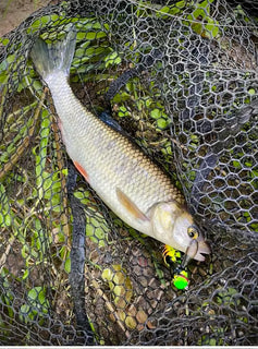 StrikeBug – Bionic Wasp Topwater Fishing Lure