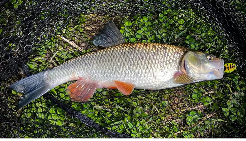 StrikeBug – Bionic Wasp Topwater Fishing Lure