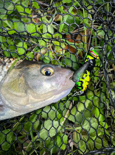 StrikeBug – Bionic Wasp Topwater Fishing Lure
