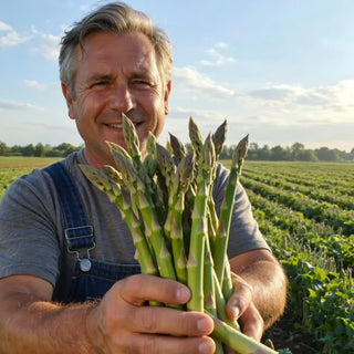 GardenPro – Perennial Tender Asparagus Seeds