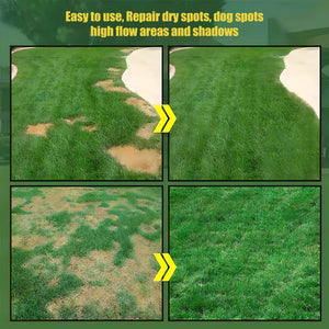 EverLush - All Season Dwarf Grass Seed