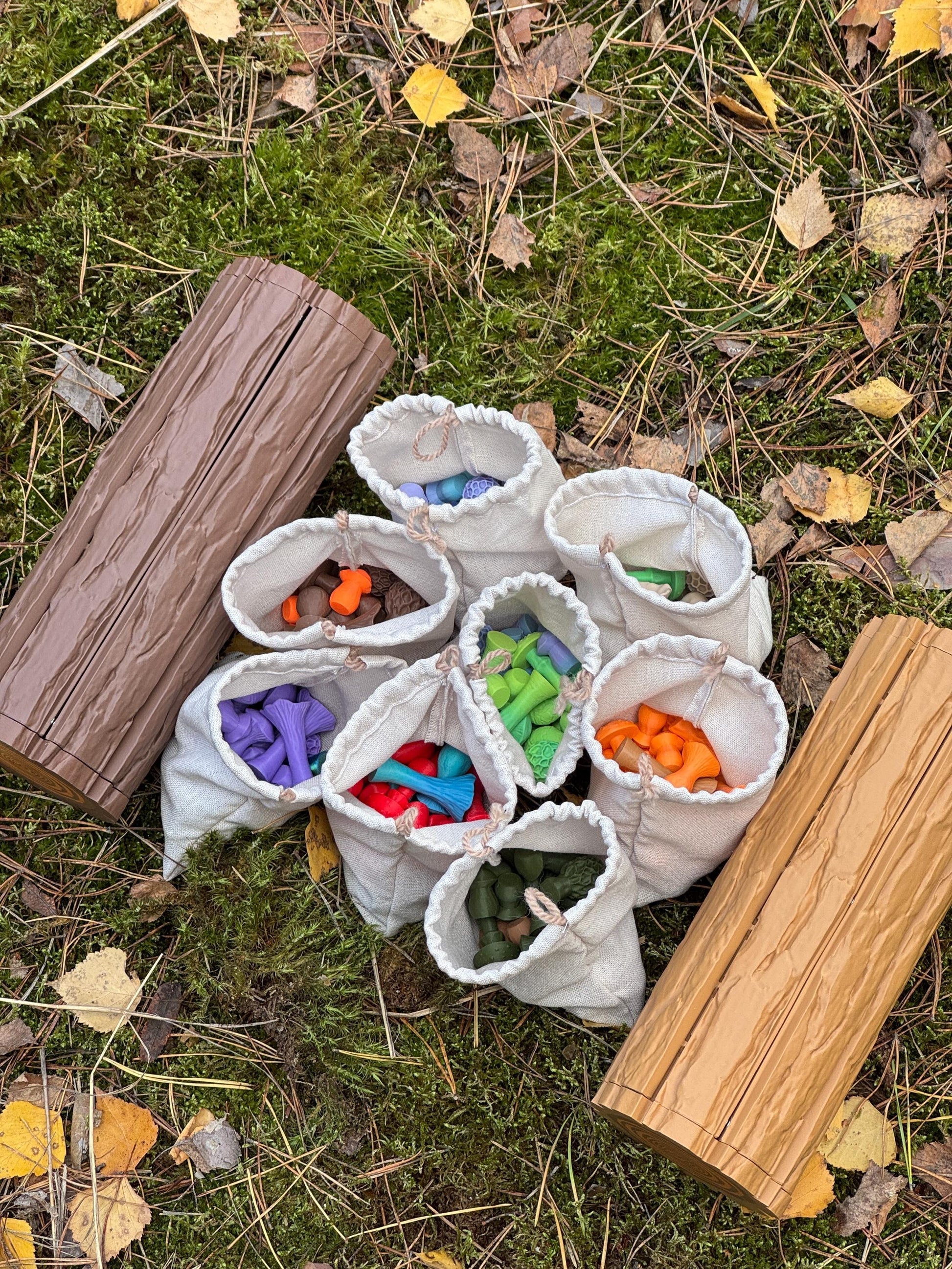 ShroomBattle - Magnetic Mushroom Chess