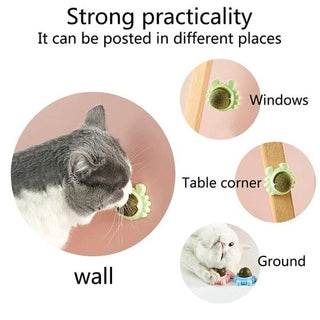 FelineFizz - Natural Rotating Catnip Ball