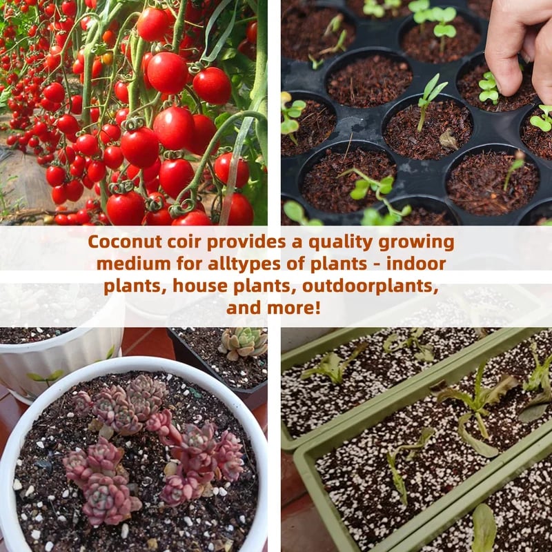 CocoBloom – Organic Coconut Coir Bricks for Healthy Plant Growth