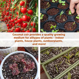 CocoBloom – Organic Coconut Coir Bricks for Healthy Plant Growth