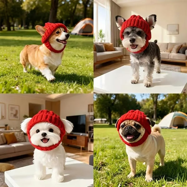 PawLuxe – Knit Dog Winter Beanie