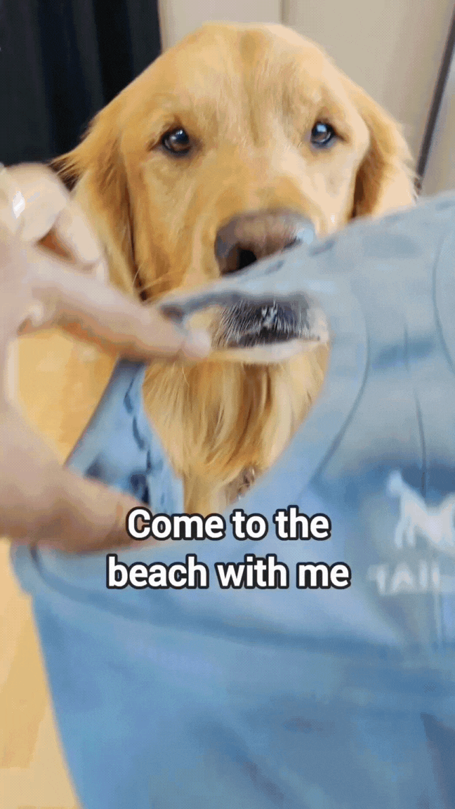 DoggoShade - Comfort & Sun Protection
