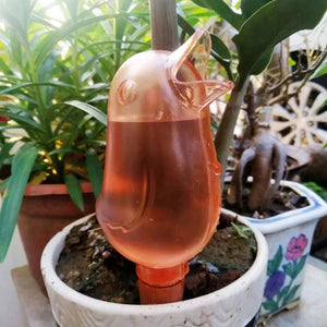 TranspaFlow - Transparent  Automatic Plant Hydrator