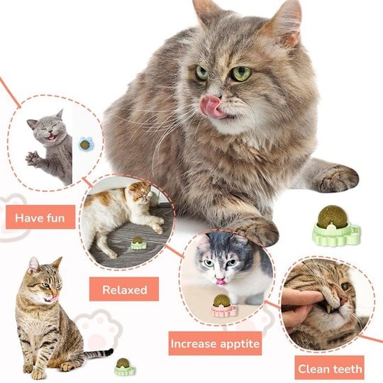 FelineFizz - Natural Rotating Catnip Ball