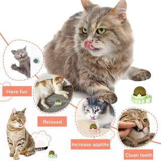 FelineFizz - Natural Rotating Catnip Ball