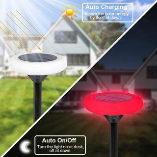 LumaGlow – Vibrant Solar-Powered Garden Lights
