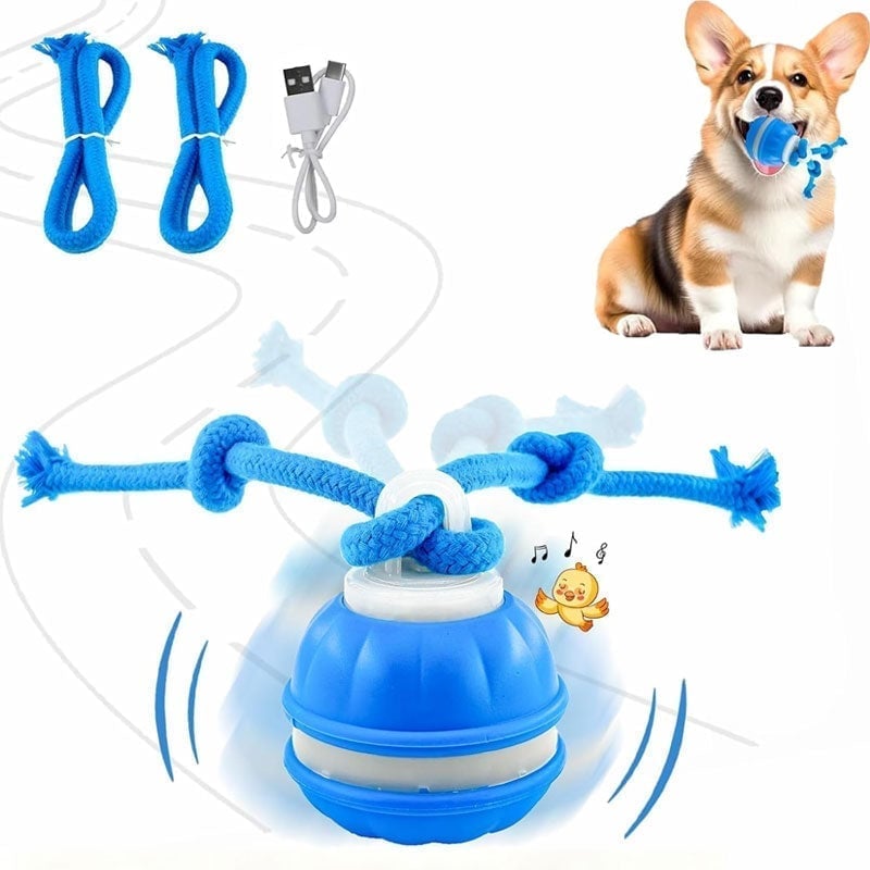 BallBot – Smart Interactive Toy