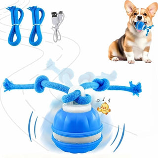 BallBot – Smart Interactive Toy