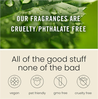 AromaDrive – Long Lasting Car Scent Freshener