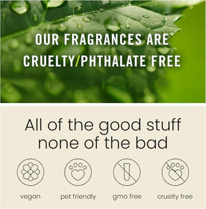 AromaDrive – Long Lasting Car Scent Freshener