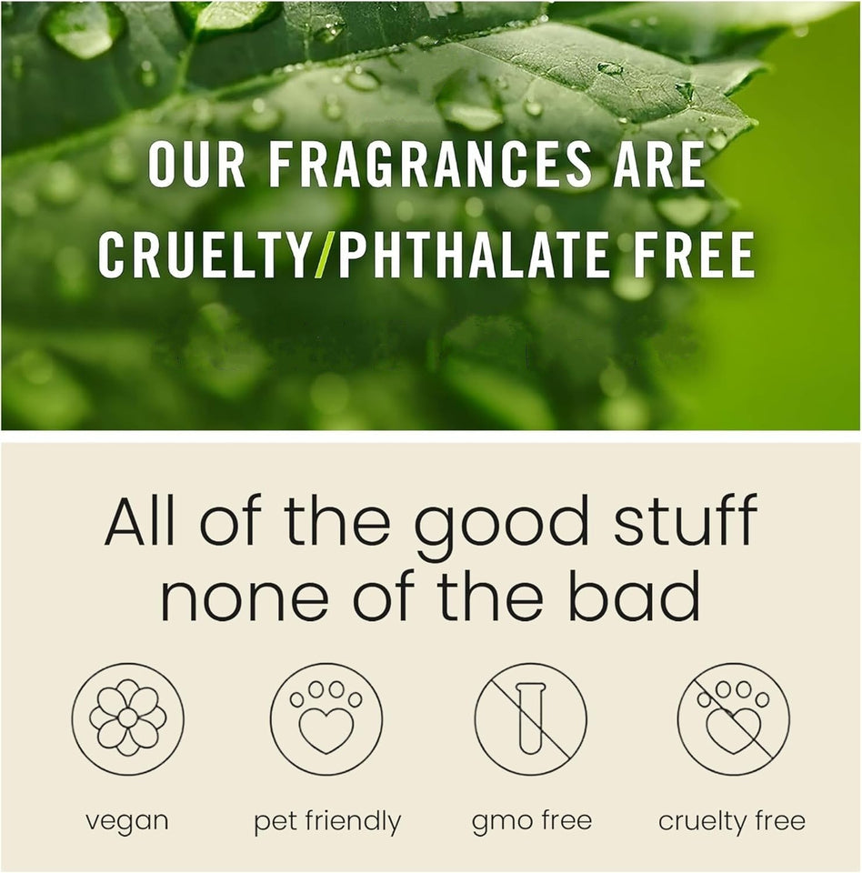 AromaDrive – Long Lasting Car Scent Freshener