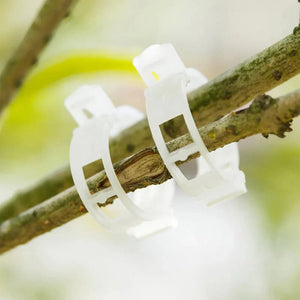 StemHold – Reusable Clips for Upright Plants