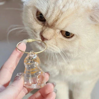 PawEver – Cat Memorial Acrylic Keychain Set