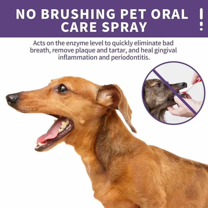 🔥LAST DAY PROMOTION - 49% OFF🔥Teeth Cleaning Spray for Dogs & Cats