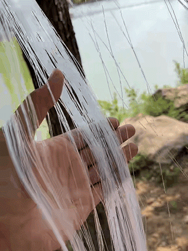 GreenClimb – Durable Garden Climbing Plant Net