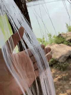 GreenClimb – Durable Garden Climbing Plant Net