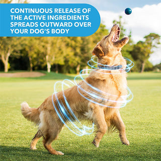 PetArmor - Long-Term Flea & Tick Safety Collar