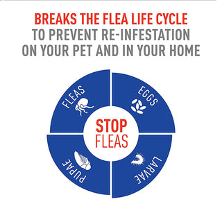 PetArmor - Long-Term Flea & Tick Safety Collar
