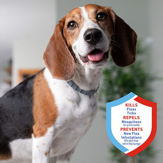 PetArmor - Long-Term Flea & Tick Safety Collar