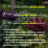 CalmBloom - Perennial Hosta Seeds for Soothing Green Corners