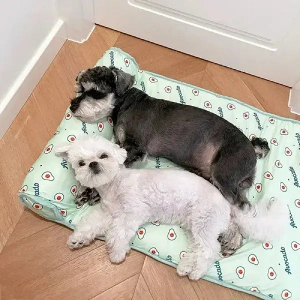 Cats/Dogs Cooling Bed marnetic