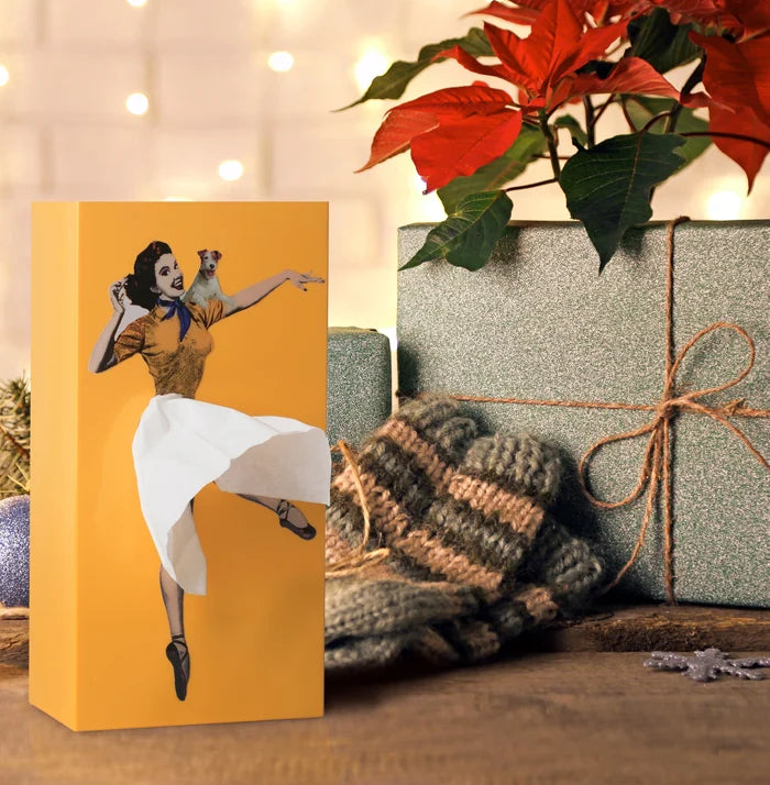 SkirtFlair - Whimsical Tissue Box