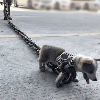 FlexChain – Life-Like Iron Chain Dog Leash for Strong Control