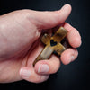 DivineFaith - The Cross My Heart Encouragement