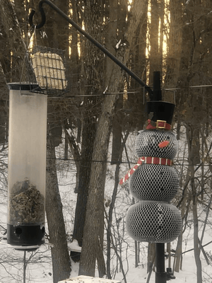 WinterBright Feeder | Solar Snowman Bird Feeder