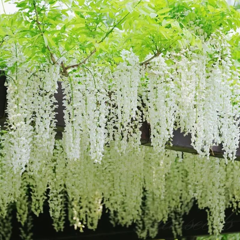 EndlessBloom – Cascading Garden Elegance