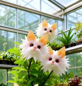 AuraBloom – Magical Cat’s Eye Seeds