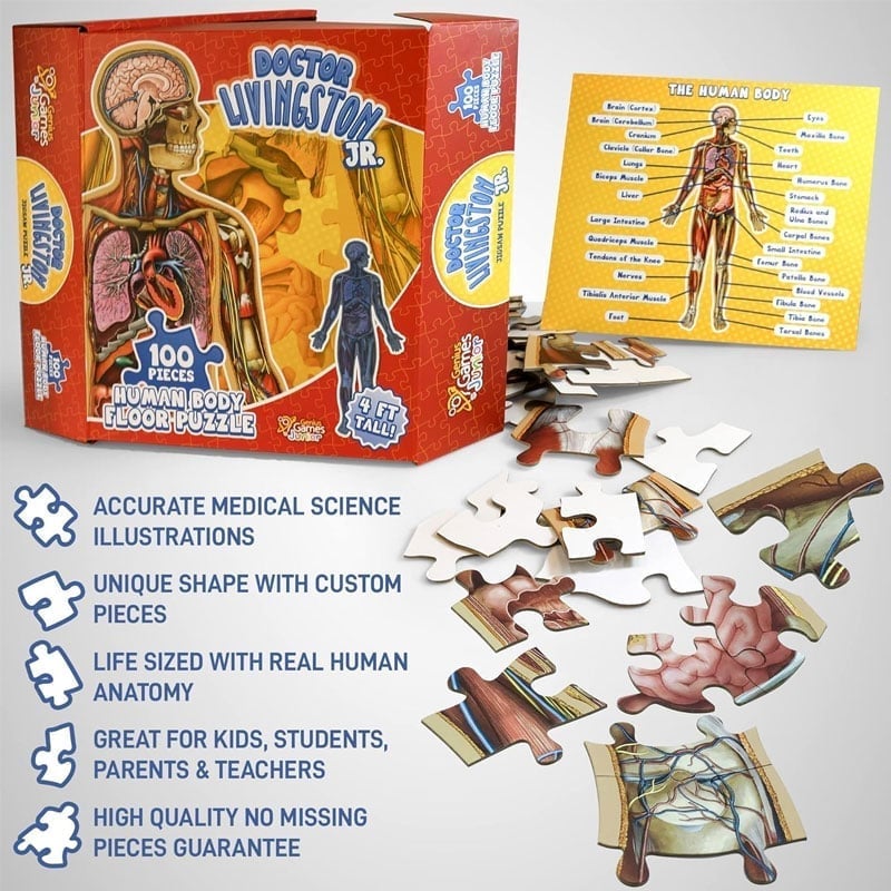 Human Anatomy Puzzle for Kids