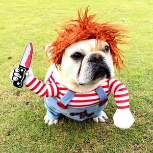 Deadly Doll Pet Costume marnetic