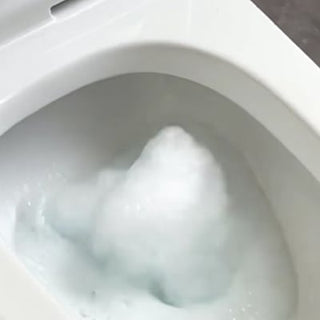 DrainFish – Quick-Dissolving Clog Remover