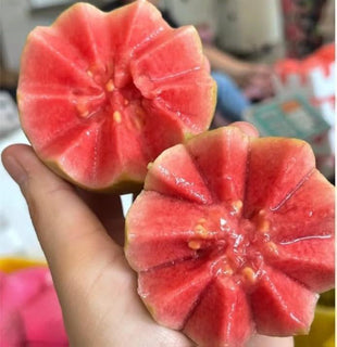 🌱Guava seeds, suitable for potted plants, greenhouses and outdoor gardens