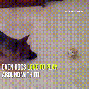 ChatterPets | Adorable Talking Plush